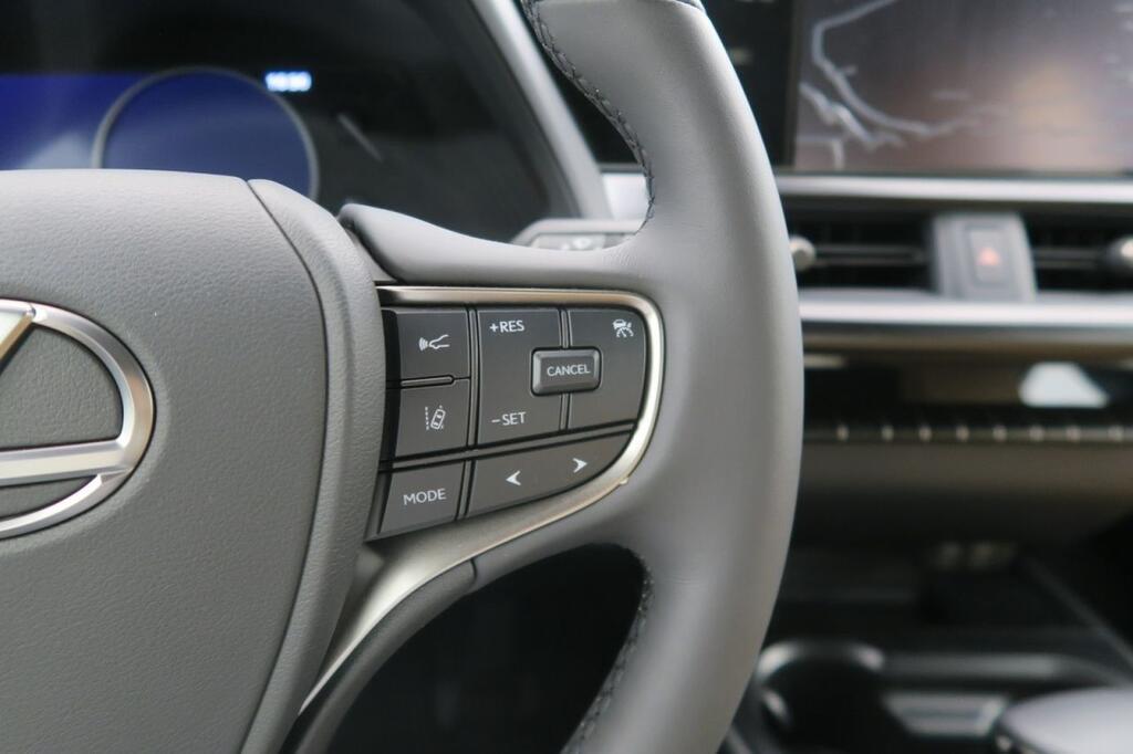 Lexus UX 250H BUSINESS 2.0 HYBRID 184 CV AUTO 5P 13