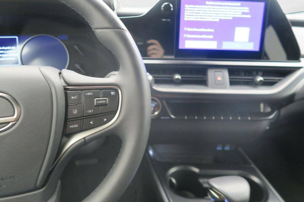 Lexus UX 250H PREMIUM 2.0 HYBRID 184 CV AUTO 5P 10