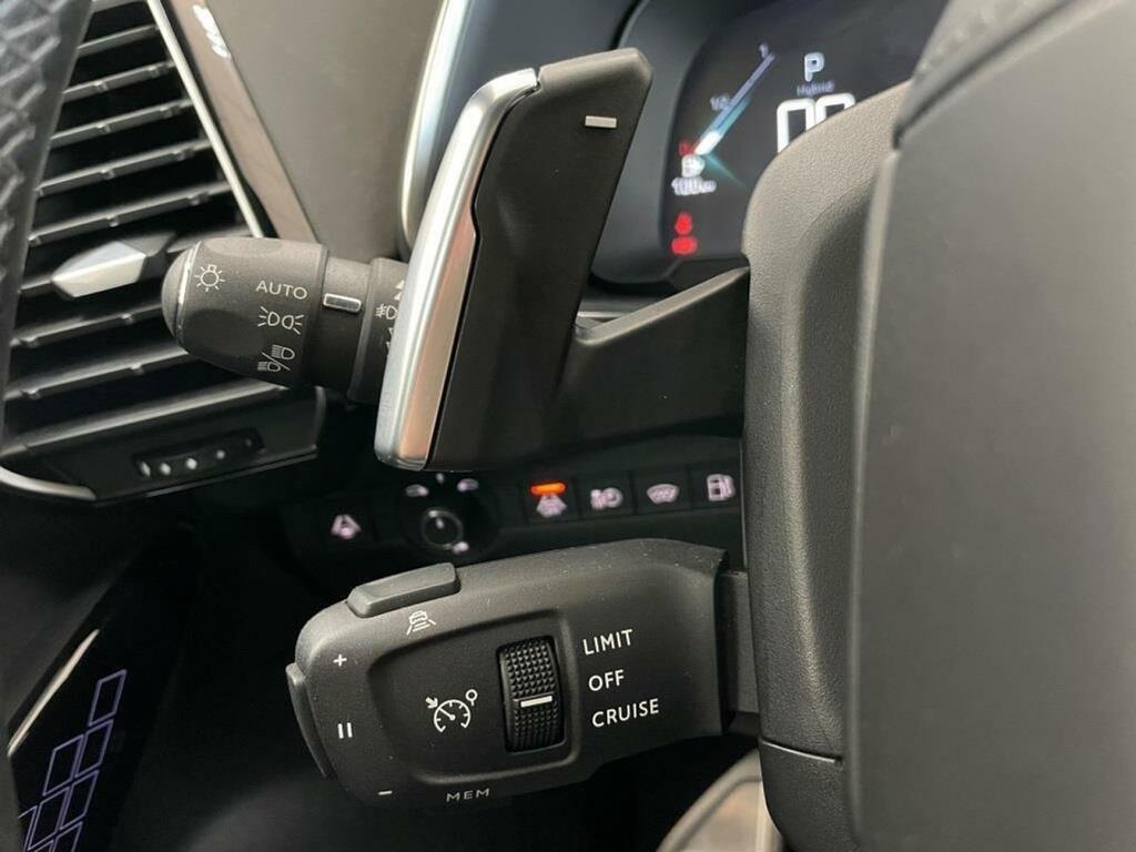 DS DS 7 1.6 E-Tense 300 GRAND CHIC Auto 4WD 13