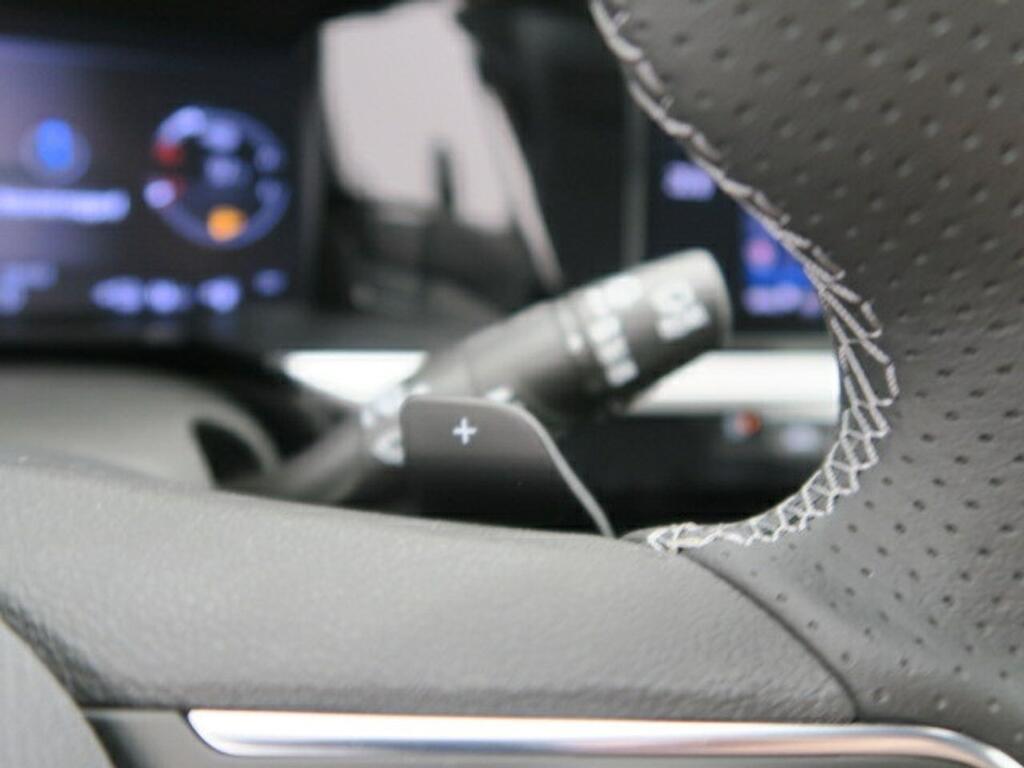 Opel Grandland 1.6 Turbo PHEV GSe Auto 221kW/300CV 14