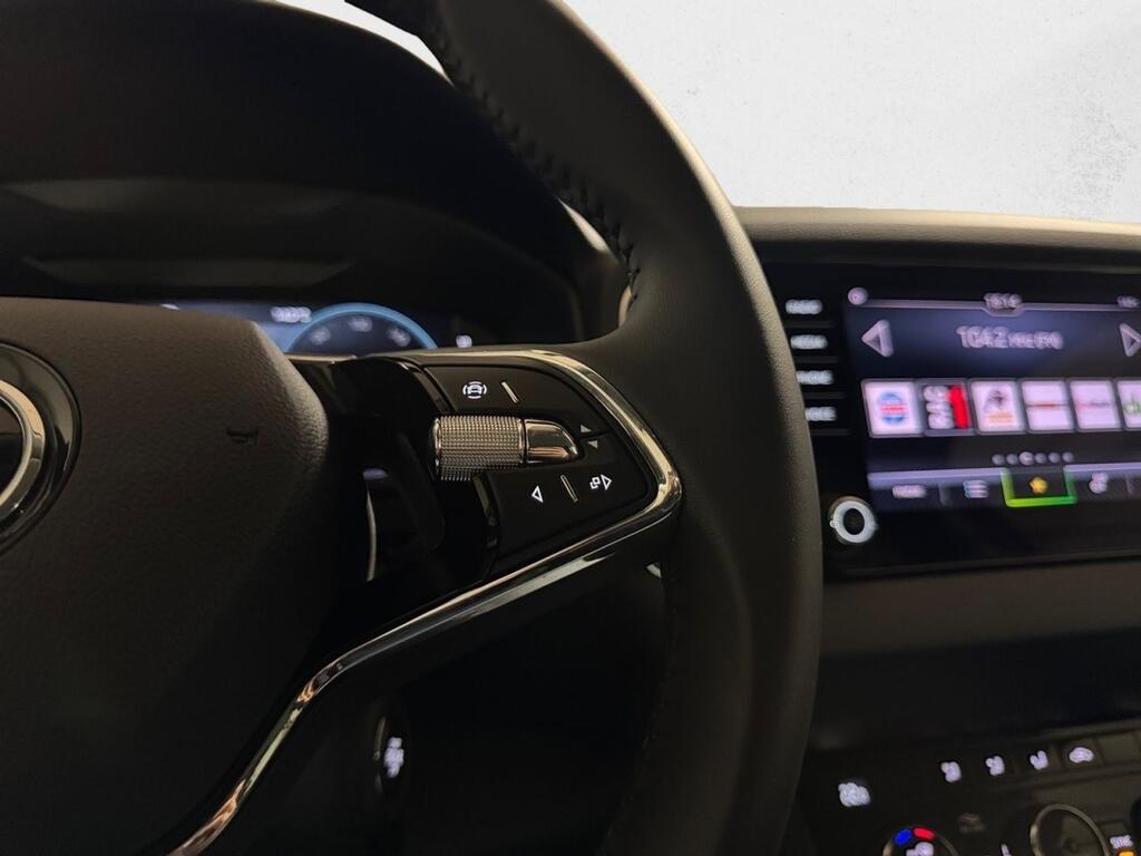 Skoda Karoq 1.5 TSI 110kW (150CV) DSG ACT Ambition 10