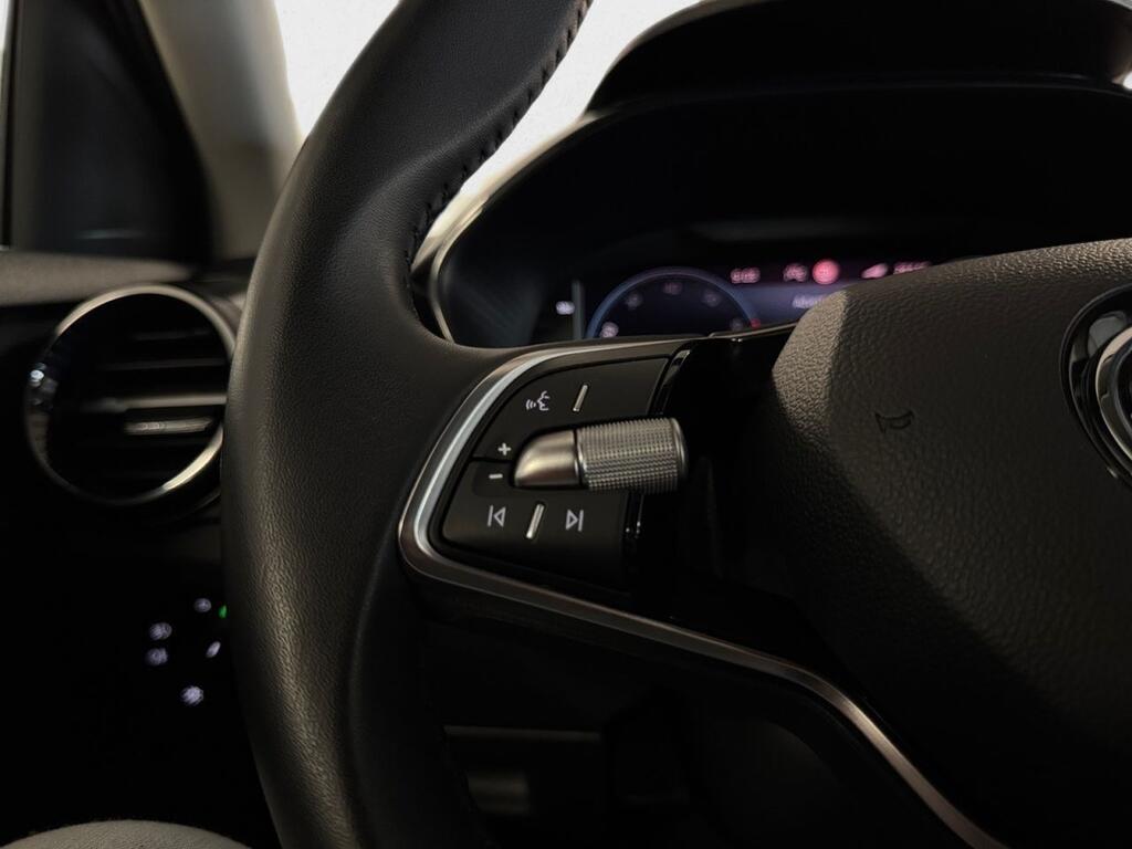 Skoda Fabia 1.0 TSI 85KW (115CV) Selection 9