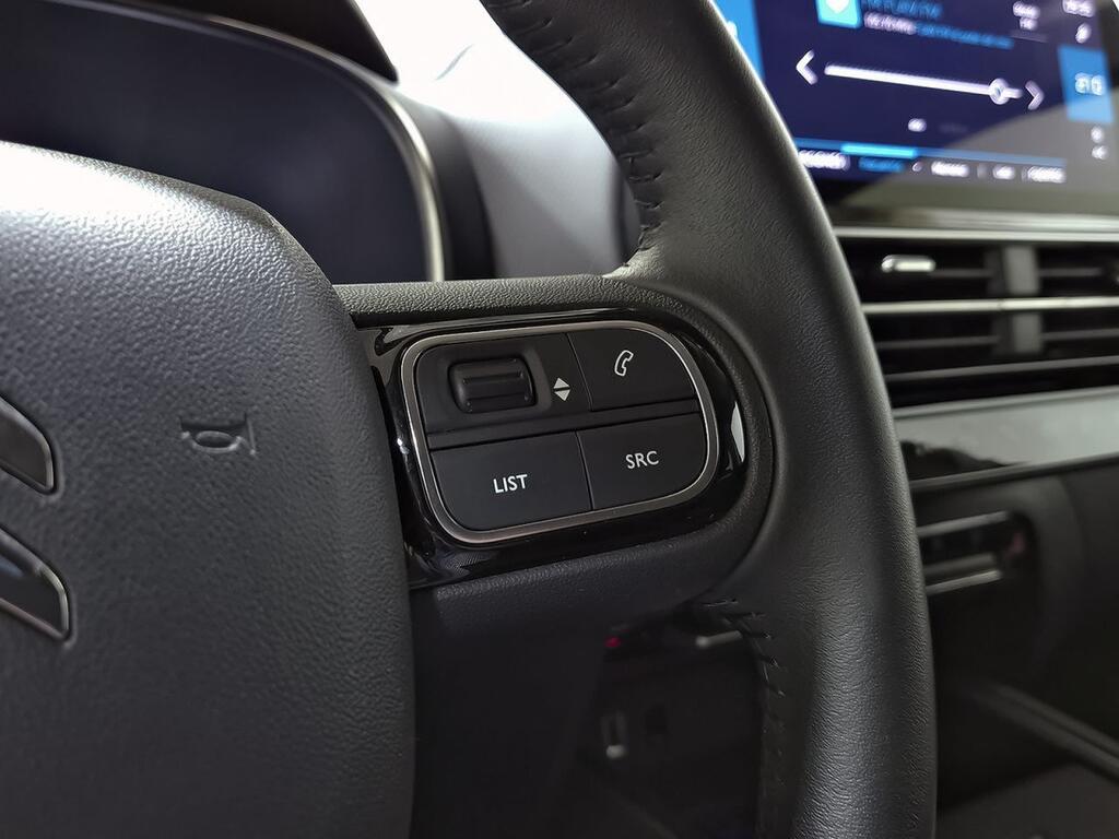 Citroën C5 Aircross PureTech 96kW (130CV) S&S Plus 19