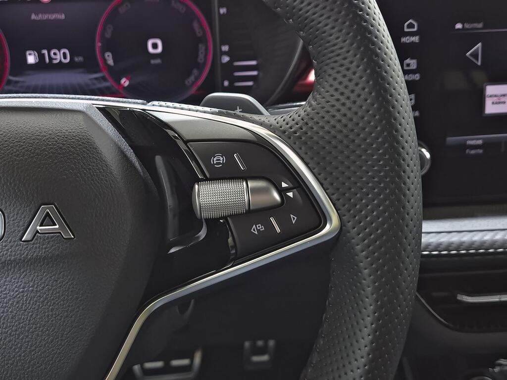 Skoda Fabia 1.0 TSI 85KW (115CV) DSG Monte Carlo 17