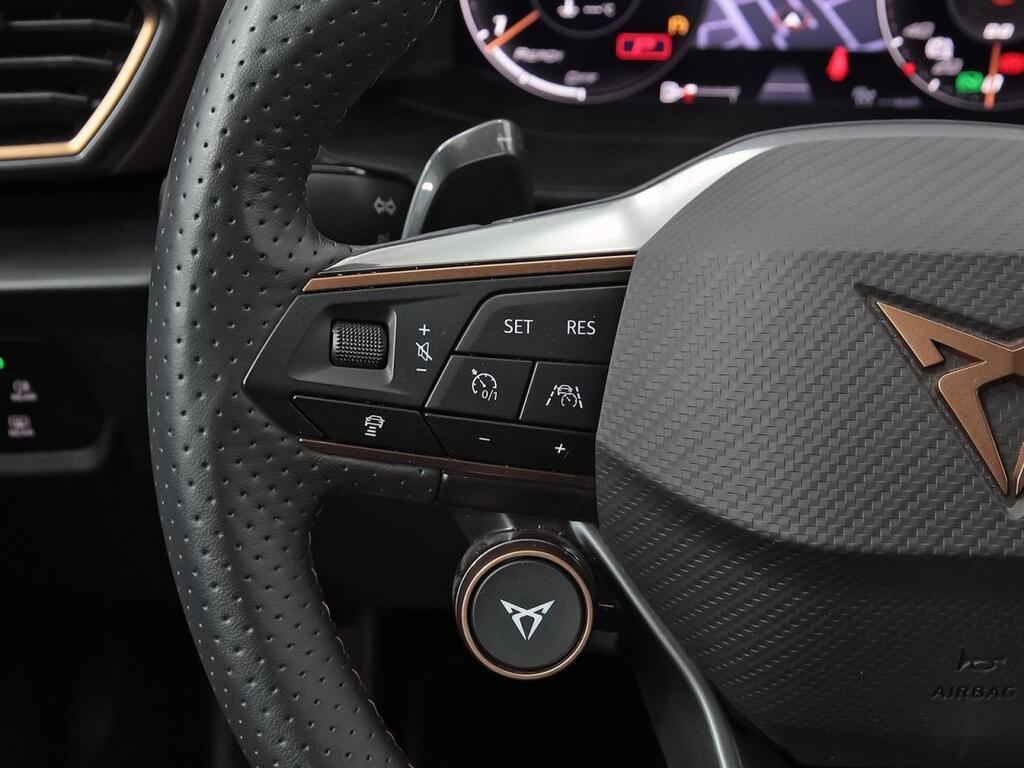 Cupra Formentor 2.5 TSI 287kW (390 CV) VZ5 TG 4Drive DSG 18