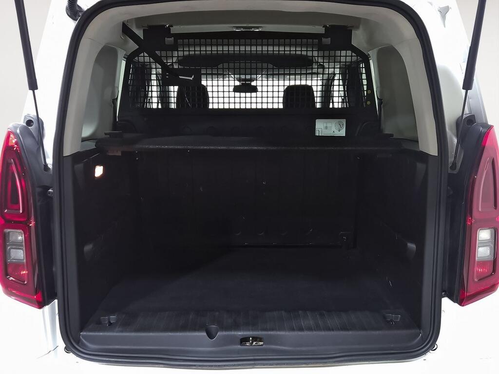 Opel Combo Cargo LIFE BUSINESS EDITION PLUS 1.5 TD 102 CV 5P 10