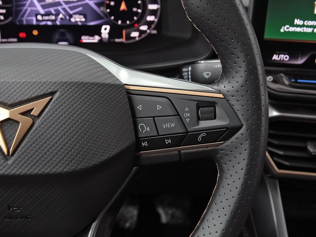 Cupra Formentor 1.5 TSI 110kW (150 CV) 10