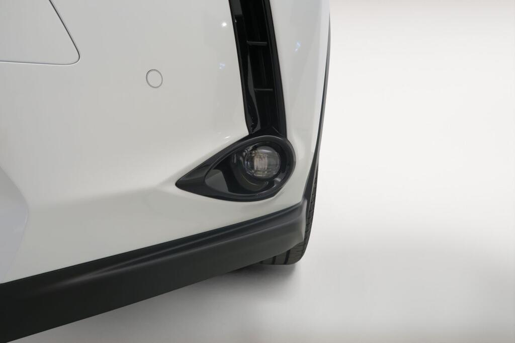 Lexus UX 300H PLUS 2.0 HYBRID 199 CV AUTO 5P 21