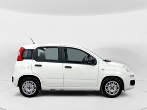 Fiat Panda Panda Hybrid 1.0 Gse 51kw (70CV)