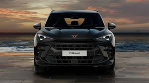 Cupra Terramar exterior